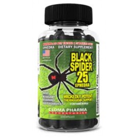 CLP Black Spider 100 Servicios